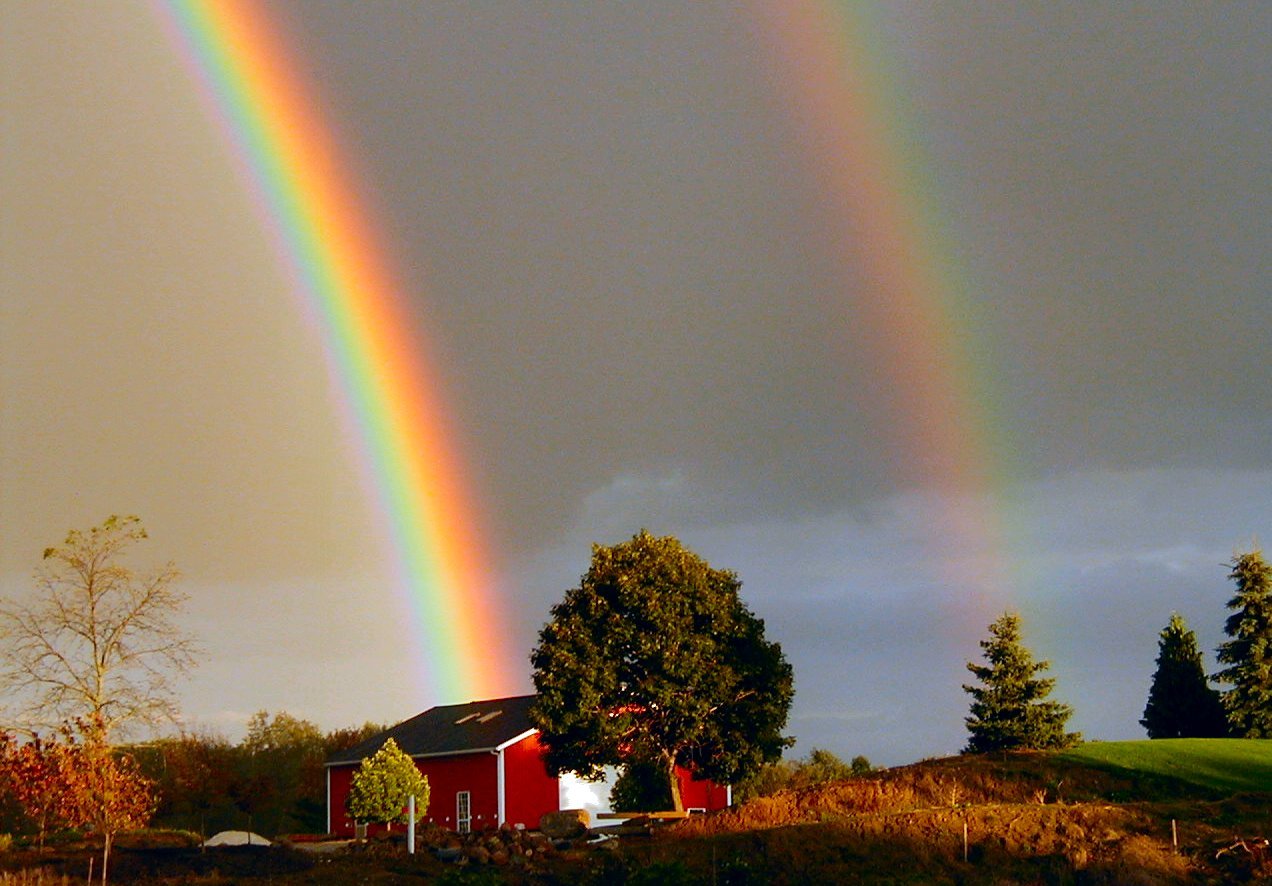 [Image: rainbow-2.jpg]